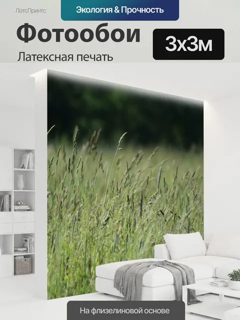 300 × 300 см · Латексная печать