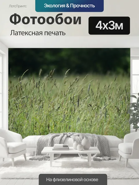 400 × 300 см · Латексная печать