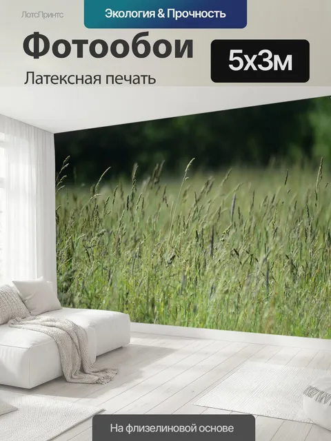 500 × 300 см · Латексная печать