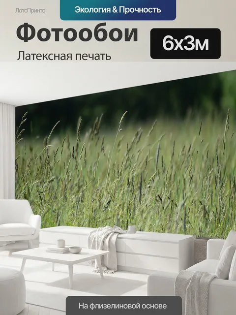 600 × 300 см · Латексная печать