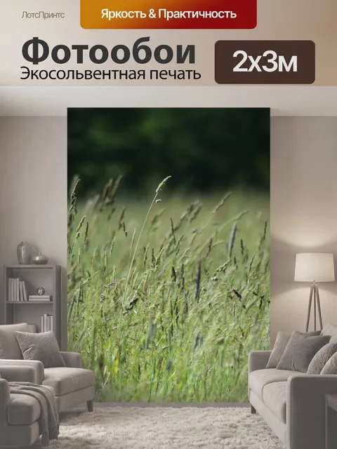 200 × 300 см · Экосольвентная печать