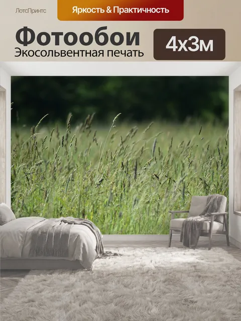 400 × 300 см · Экосольвентная печать