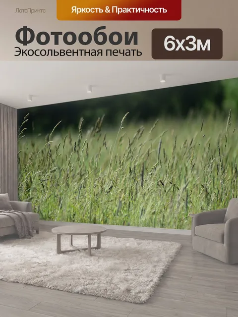 600 × 300 см · Экосольвентная печать