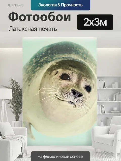 200 × 300 см · Латексная печать