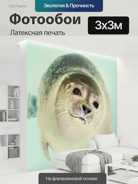 300 × 300 см · Латексная печать