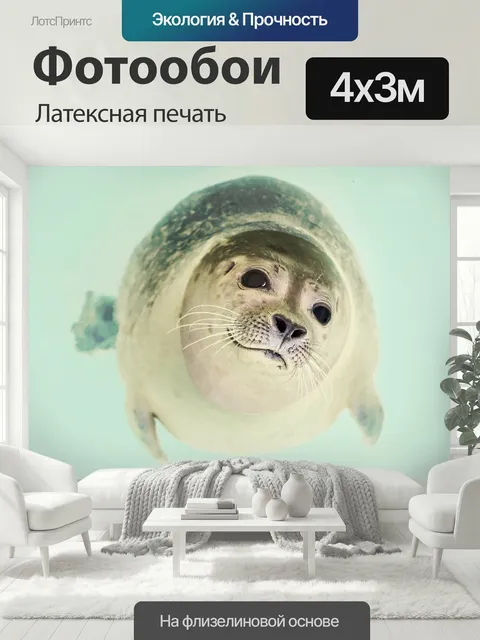 400 × 300 см · Латексная печать