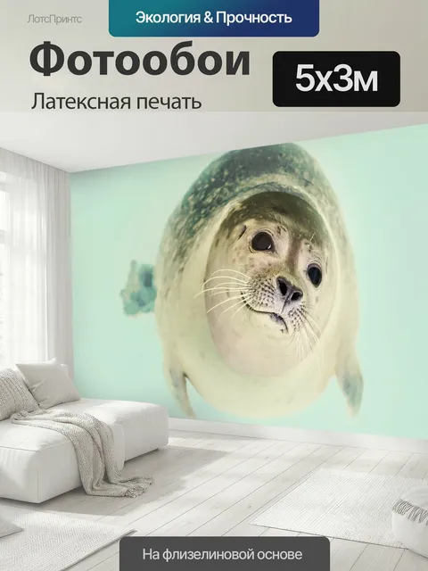 500 × 300 см · Латексная печать