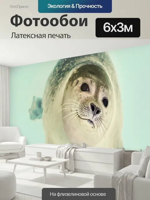600 × 300 см · Латексная печать