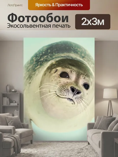200 × 300 см · Экосольвентная печать