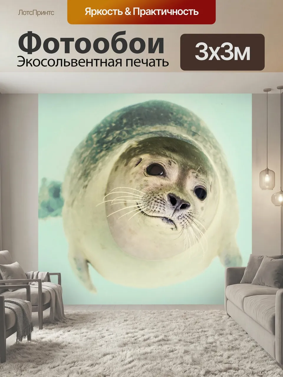 Фотообои Тюлень, млекопитающее, милый