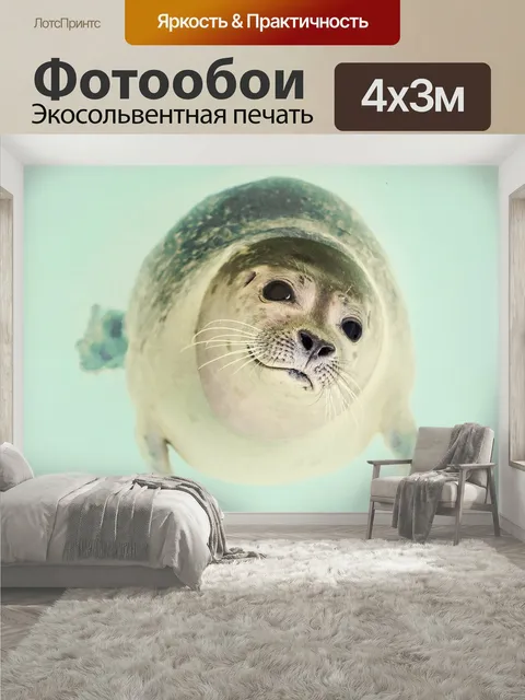 400 × 300 см · Экосольвентная печать