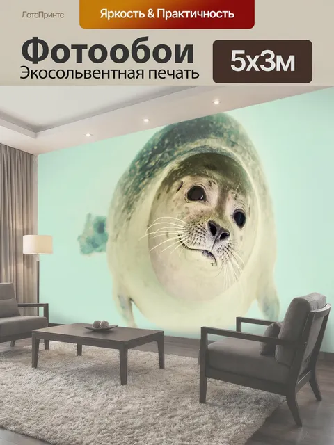 500 × 300 см · Экосольвентная печать