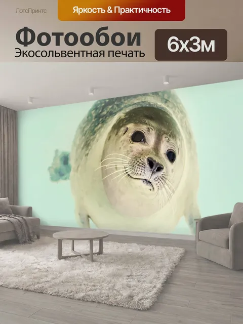 600 × 300 см · Экосольвентная печать