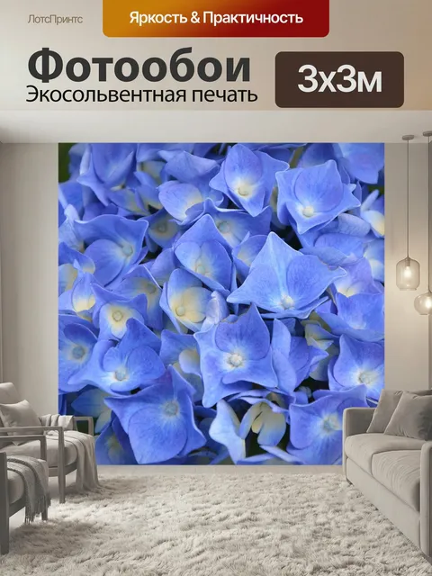 Фотообои Гортензия синий, сад, природа