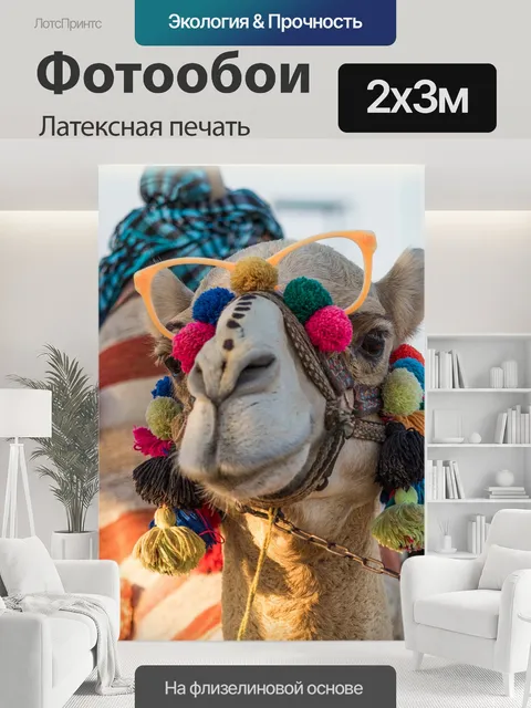 200 × 300 см · Латексная печать