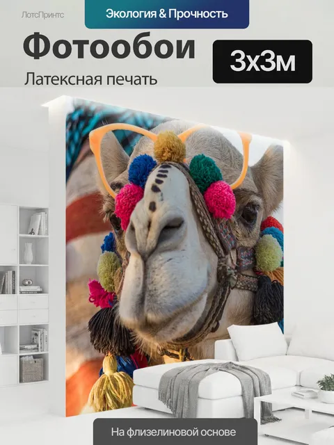 300 × 300 см · Латексная печать