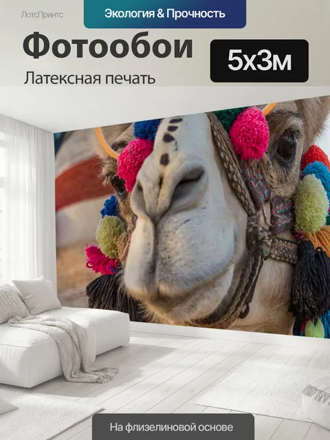 500 × 300 см · Латексная печать