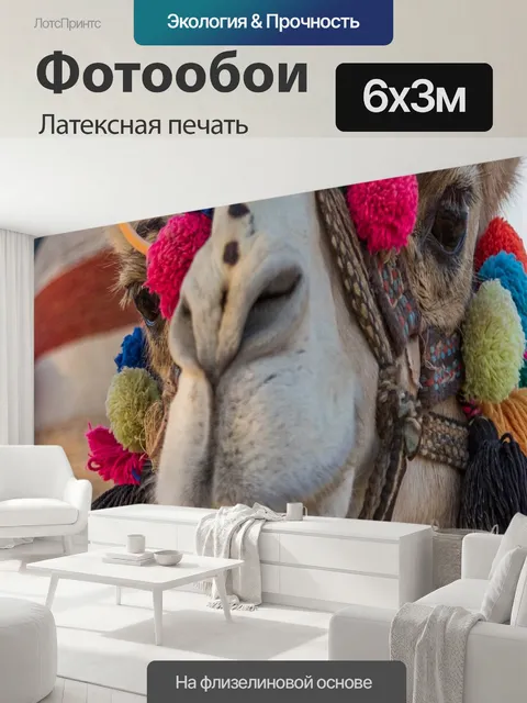 600 × 300 см · Латексная печать