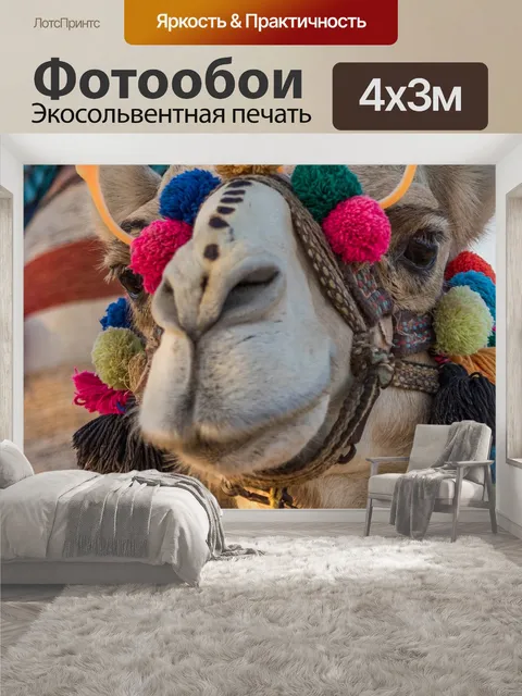 400 × 300 см · Экосольвентная печать