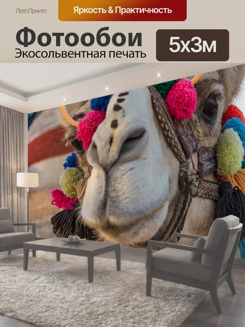 500 × 300 см · Экосольвентная печать