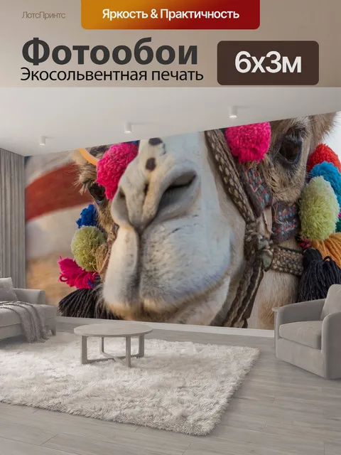 600 × 300 см · Экосольвентная печать