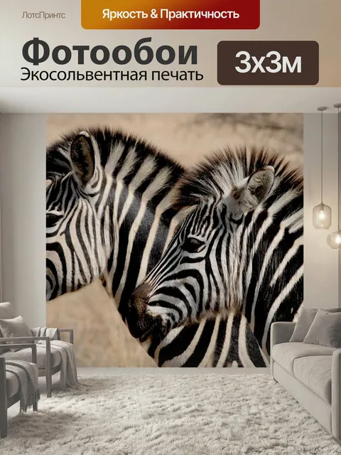 Фотообои Зебры, головы, полосы