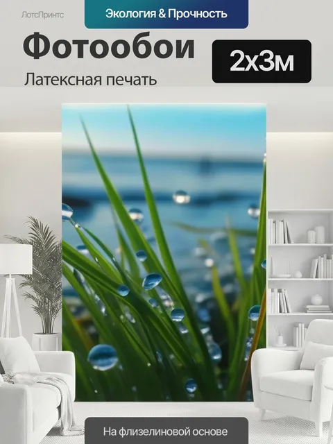 200 × 300 см · Латексная печать