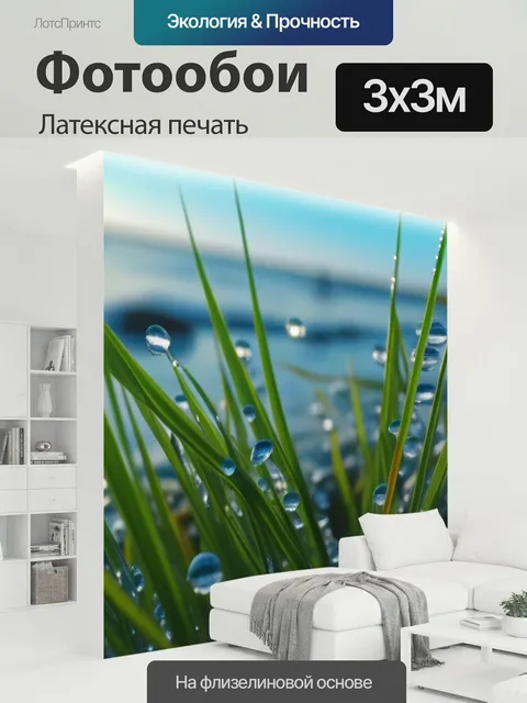 300 × 300 см · Латексная печать