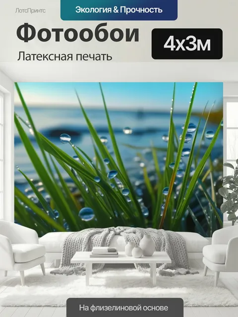 400 × 300 см · Латексная печать