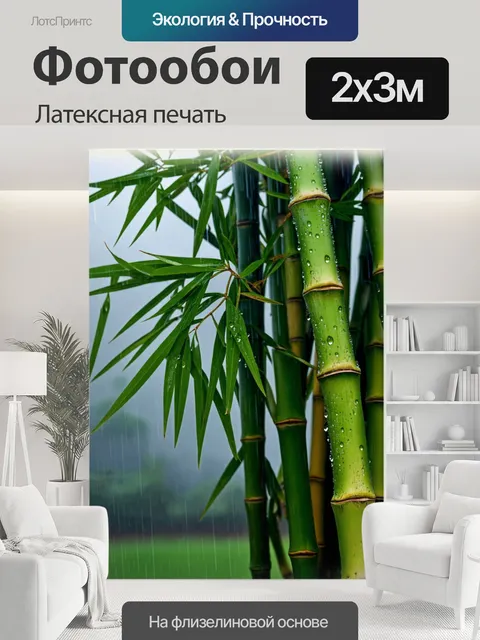 200 × 300 см · Латексная печать