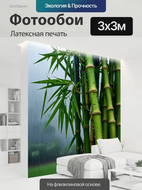 300 × 300 см · Латексная печать