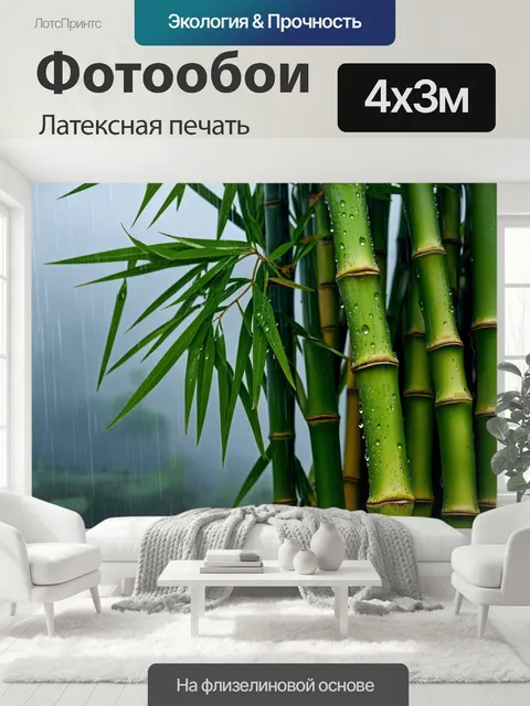 400 × 300 см · Латексная печать