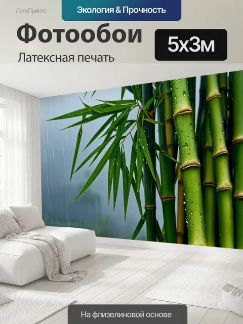 500 × 300 см · Латексная печать
