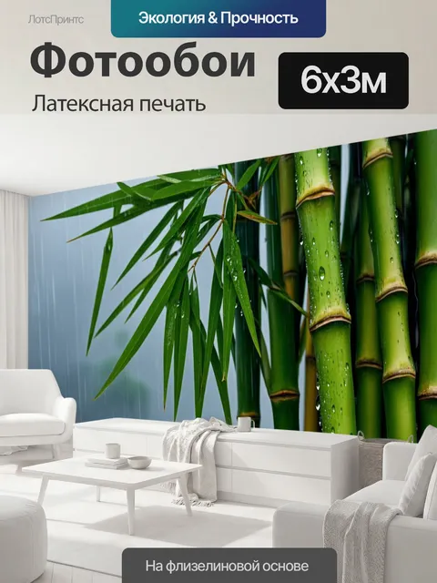 600 × 300 см · Латексная печать