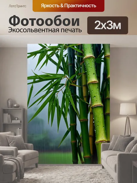 200 × 300 см · Экосольвентная печать