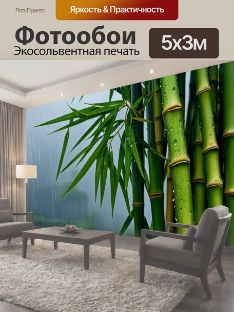 500 × 300 см · Экосольвентная печать