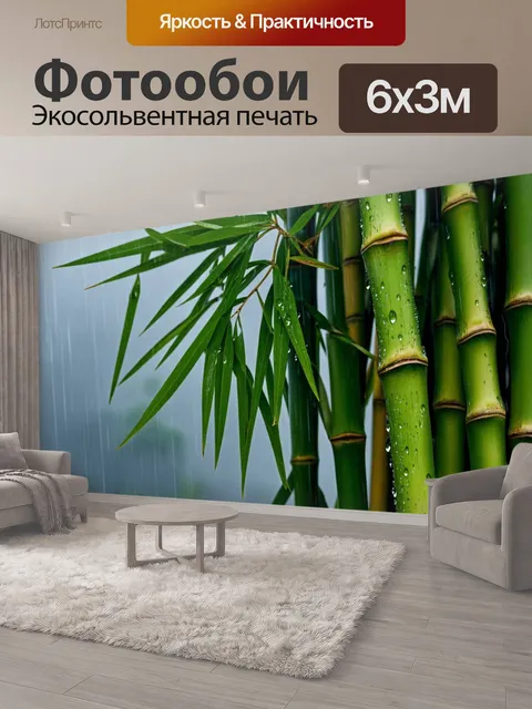 600 × 300 см · Экосольвентная печать
