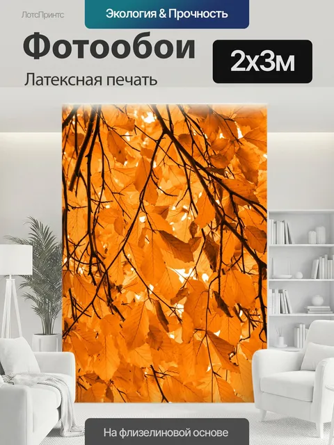 200 × 300 см · Латексная печать