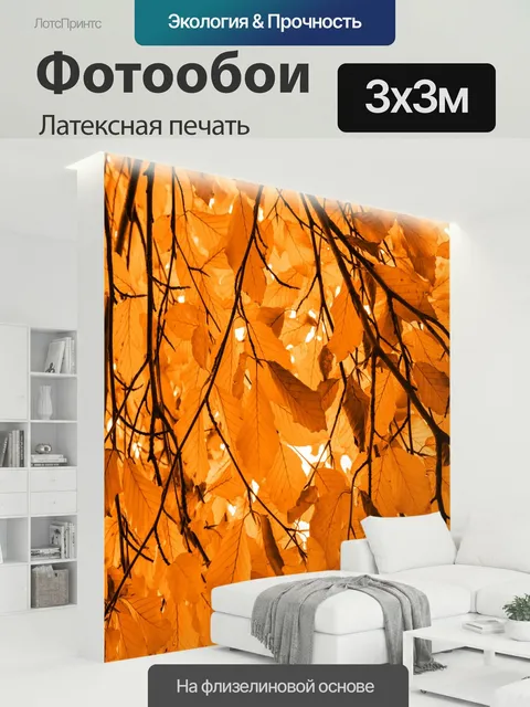 300 × 300 см · Латексная печать