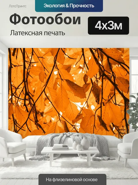 400 × 300 см · Латексная печать