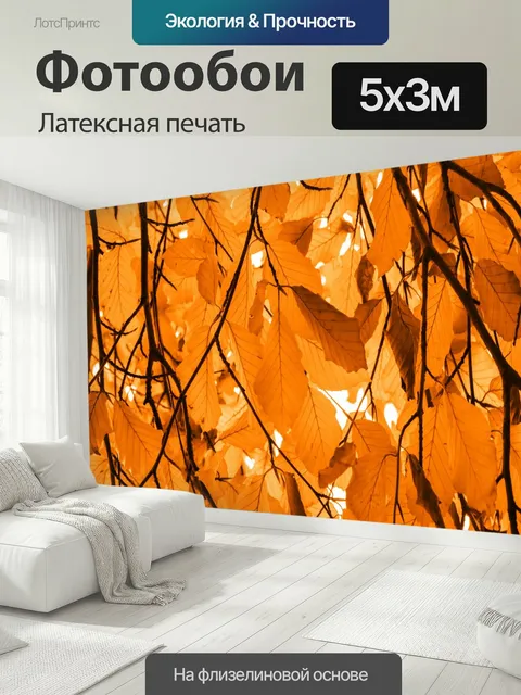 500 × 300 см · Латексная печать