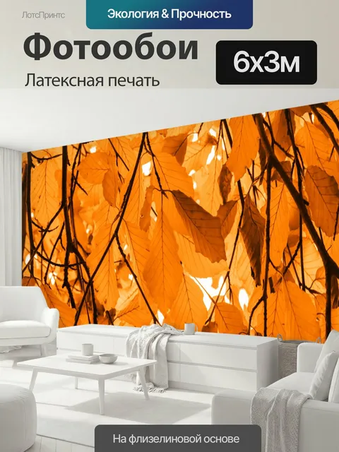 600 × 300 см · Латексная печать