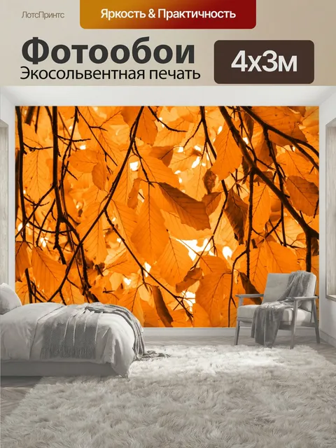 400 × 300 см · Экосольвентная печать