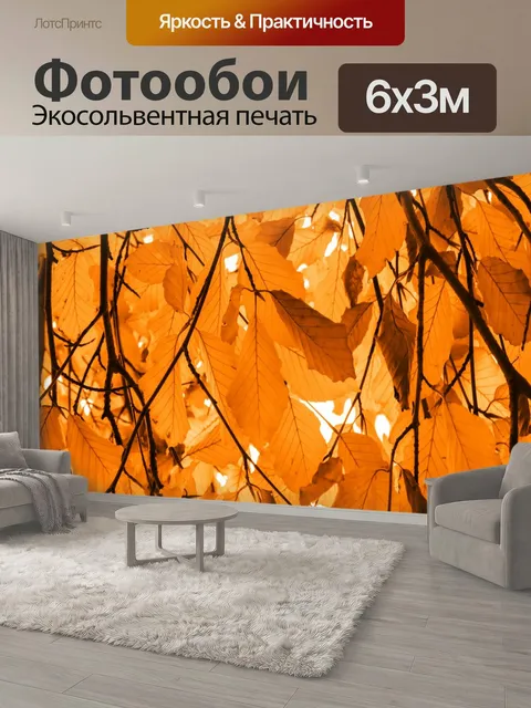 600 × 300 см · Экосольвентная печать