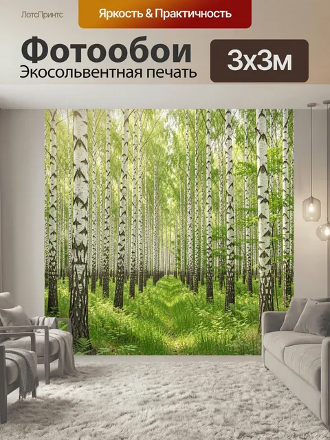 Фотообои Березовая роща с зеленой тропой. Светлый лесной пейзаж с высокими белоствольными деревьями, молодой травой и …