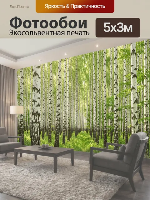 Фотообои Березовая роща с зеленой тропой