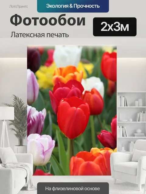 200 × 300 см · Латексная печать