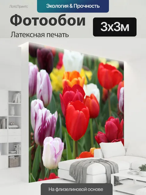 300 × 300 см · Латексная печать