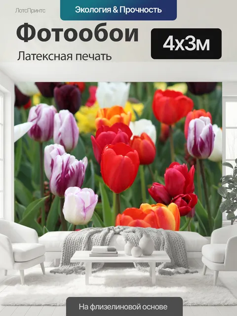 400 × 300 см · Латексная печать