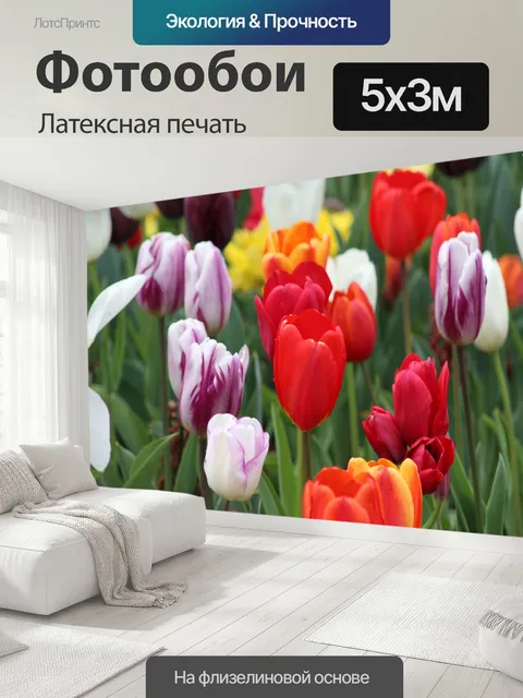 500 × 300 см · Латексная печать